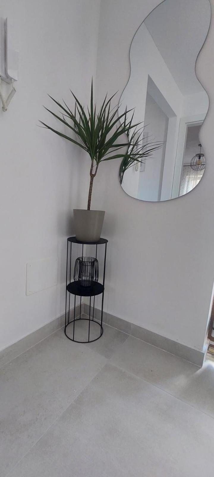 Apartment Olive Каштела Экстерьер фото